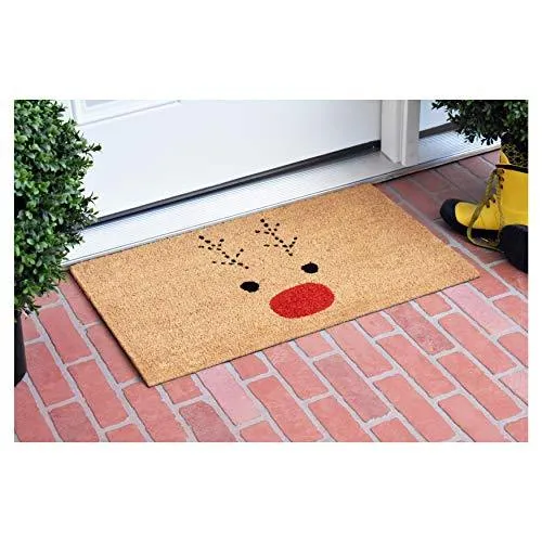 Rudolph Doormat for Christmas, Gift for Friends, Lovely doormat for Any Season