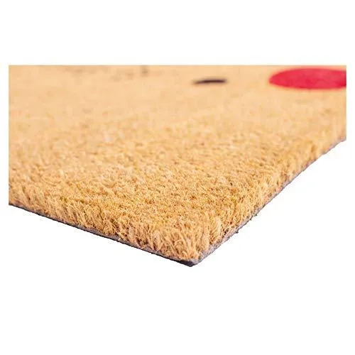 Rudolph Doormat for Christmas, Gift for Friends, Lovely doormat for Any Season