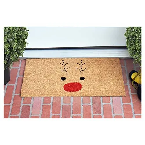 Rudolph Doormat for Christmas, Gift for Friends, Lovely doormat for Any Season