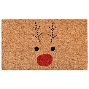 Rudolph Doormat for Christmas, Gift for Friends, Lovely doormat for Any Season